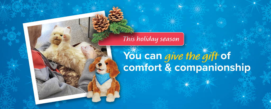 Poster image for comfort companion campaign